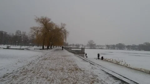Feed the birds in winter Stock Footage 104657790