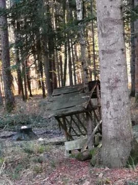 FEED-MANGER in the FOREST-AREA Stock Photos