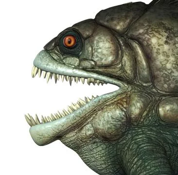 Feed Me! 스톡 일러스트