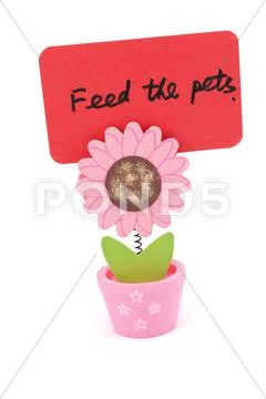 Feed the pets Stock Photos