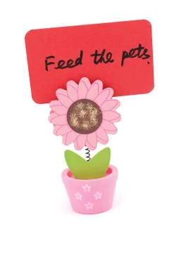 Feed the pets Stock Photos