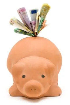 Feed the Pig Isolated on a White Background Foto stock