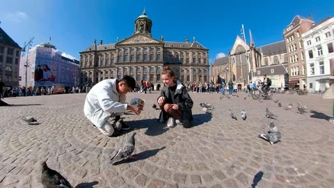 Feed pigeons in Dam Square Stock Footage 108091211