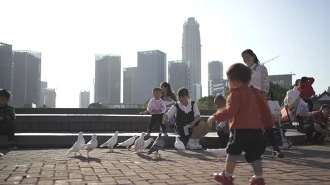 Feed the pigeons in the park 스톡 동영상 125359203