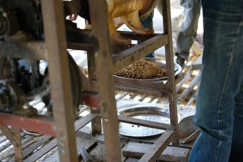 Feed production. machine for producing fodder pellet for feeding animal. Stock-Fotos