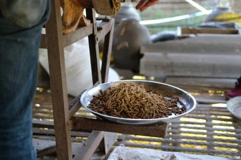 Feed production. machine for producing fodder pellet for feeding animal. Stock Photos