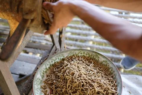 Feed production. machine for producing fodder pellet for feeding animal. Stock-Fotos