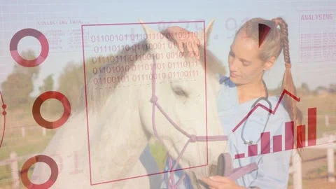 Feed streaming while vet holding halter patting horse, data overlaying charts Stock Footage 333999704