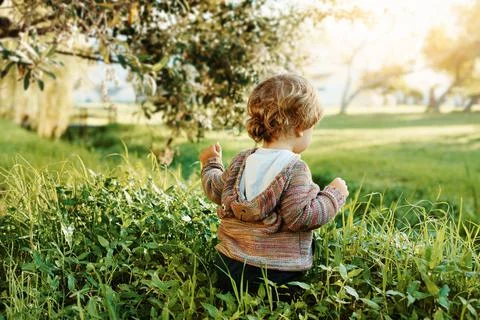 Feed their curiosity Stock Photos