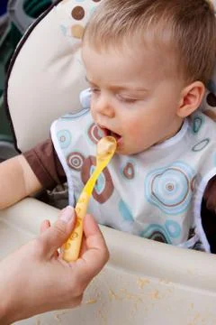 Feed time Stock Photos