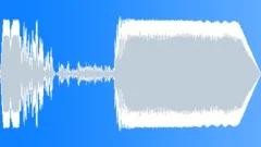Feedback, Distortion, Glitch, Mic, ShortSound Effect