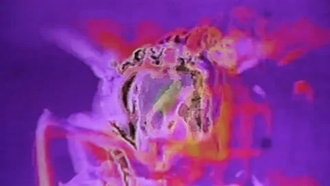 Feedback fly multi color. abstract. Stock Footage 218611885