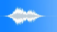 Feedback Sound Effect