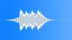 FeedbackSound Effect
