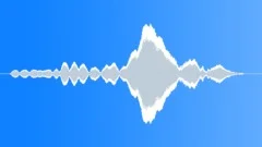 Feedback Sound Effect