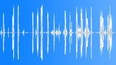Feedback,Microphone,Handling,Squeals 1Sound Effect
