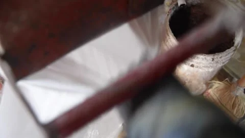 FeedDispenseryHD 03 Stock Footage 168324537