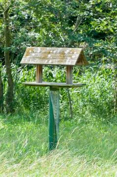 Feeder birds Stock Photos