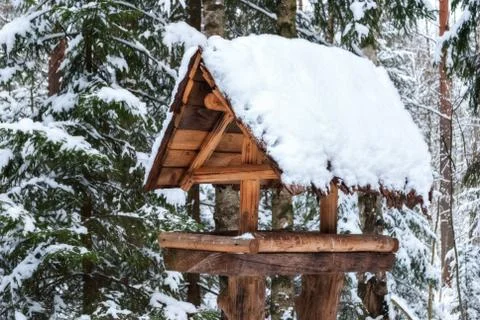 Feeder for birds. Stock Photos