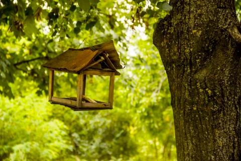 Feeder for birds Stock Photos