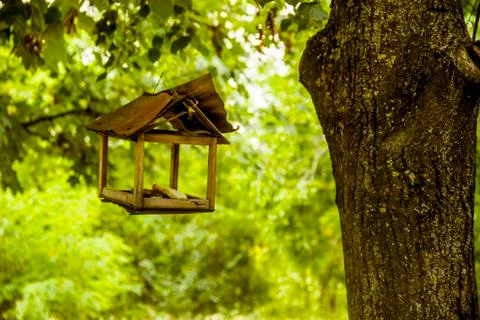 Feeder for birds Stock Photos