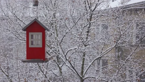 Feeder for the birds in a snow Stock Footage 151177955