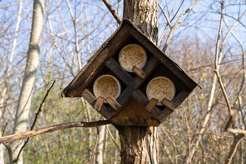 Feeder for birds on tree with 3 different types of food Stock Photos
