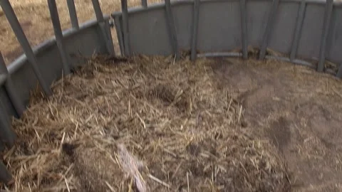 Feeder bunk cattle metal straw farm countryside nature rural afternoon cree.. Stock Footage 330468546