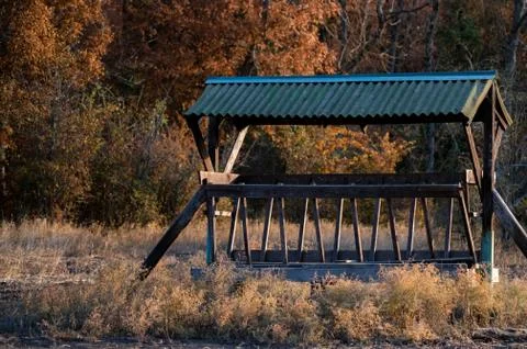 Feeder for deer and stags in the forest 写真素材