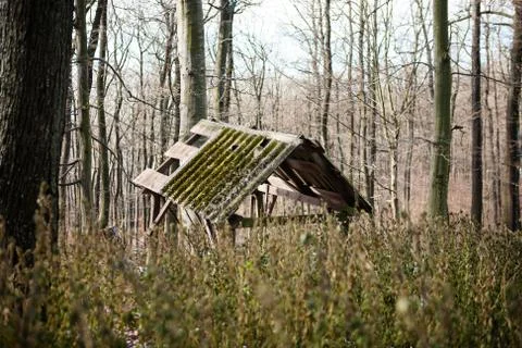 Feeder for deer Stock Photos