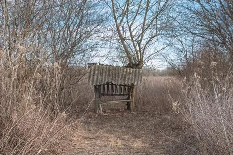 Feeder for deer Photos
