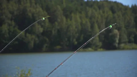 Feeder Fishing Stock Footage ~ Royalty Free Stock Videos