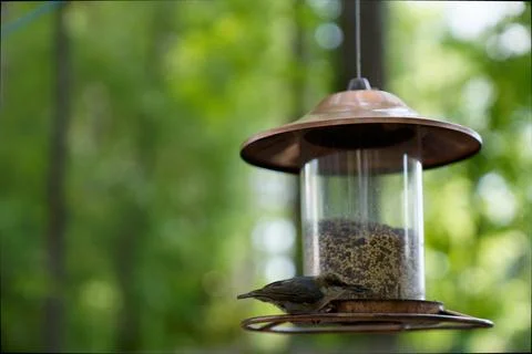 Feeder in the garden Stock Photos
