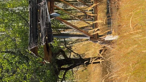 Feeder for large wild animals in the forest, feeder for elk  vertical Stock Footage 256992329