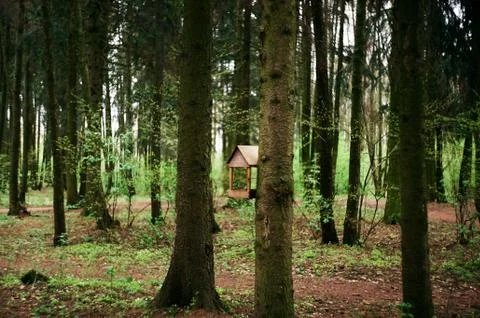 Feeder 스톡 사진