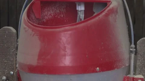 Feeder for pigs Stock Footage 47877663