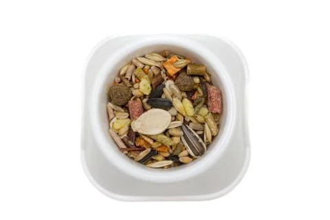 Feeder with rodent`s feed Foto stock