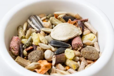 Feeder with rodent`s feed Stock Photos