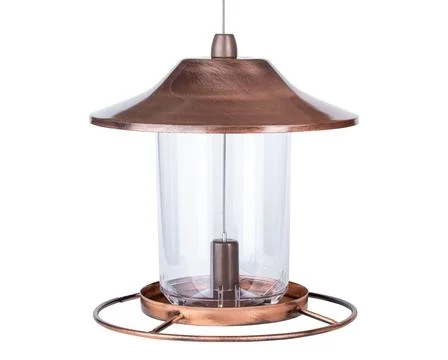 Feeder. Wild Bird Feeder. Feeder for seeds. Food for wildlife birds Stock Photos