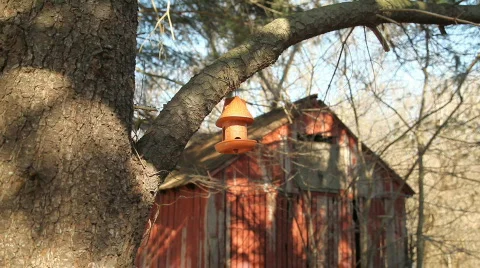 Feeder5 Video stock 332373