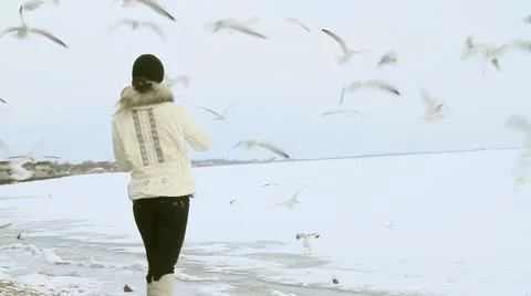 Feeding of birds. 库存影片 10816207