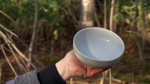 Feeding birds with hands Stock Footage 120243041