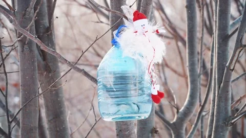 Feeding birds in the winter forest Stock Footage 147591103
