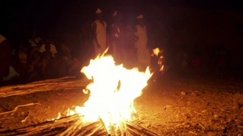 Feeding campfire Stock Footage 80625478