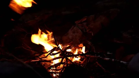 Feeding a campfire Stock Footage 154769149