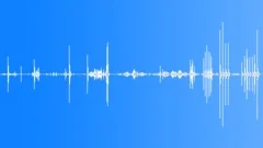 Feeding the CatSound Effect