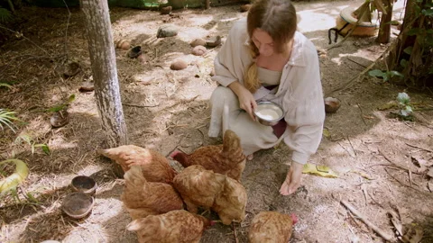 Feeding chickens in a serene backyard environment surrounded by nature. The Stock Footage 301486001