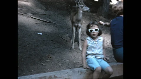 Feeding Deer at Sequoia 1965 Stock Footage 220087838
