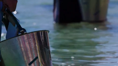 Feeding the dolphins Stock Footage 88446291