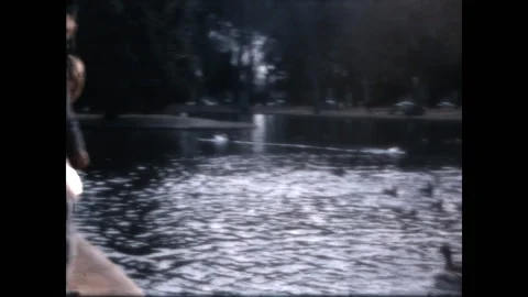 Feeding the Ducks 1966 Stock Footage 211886456
